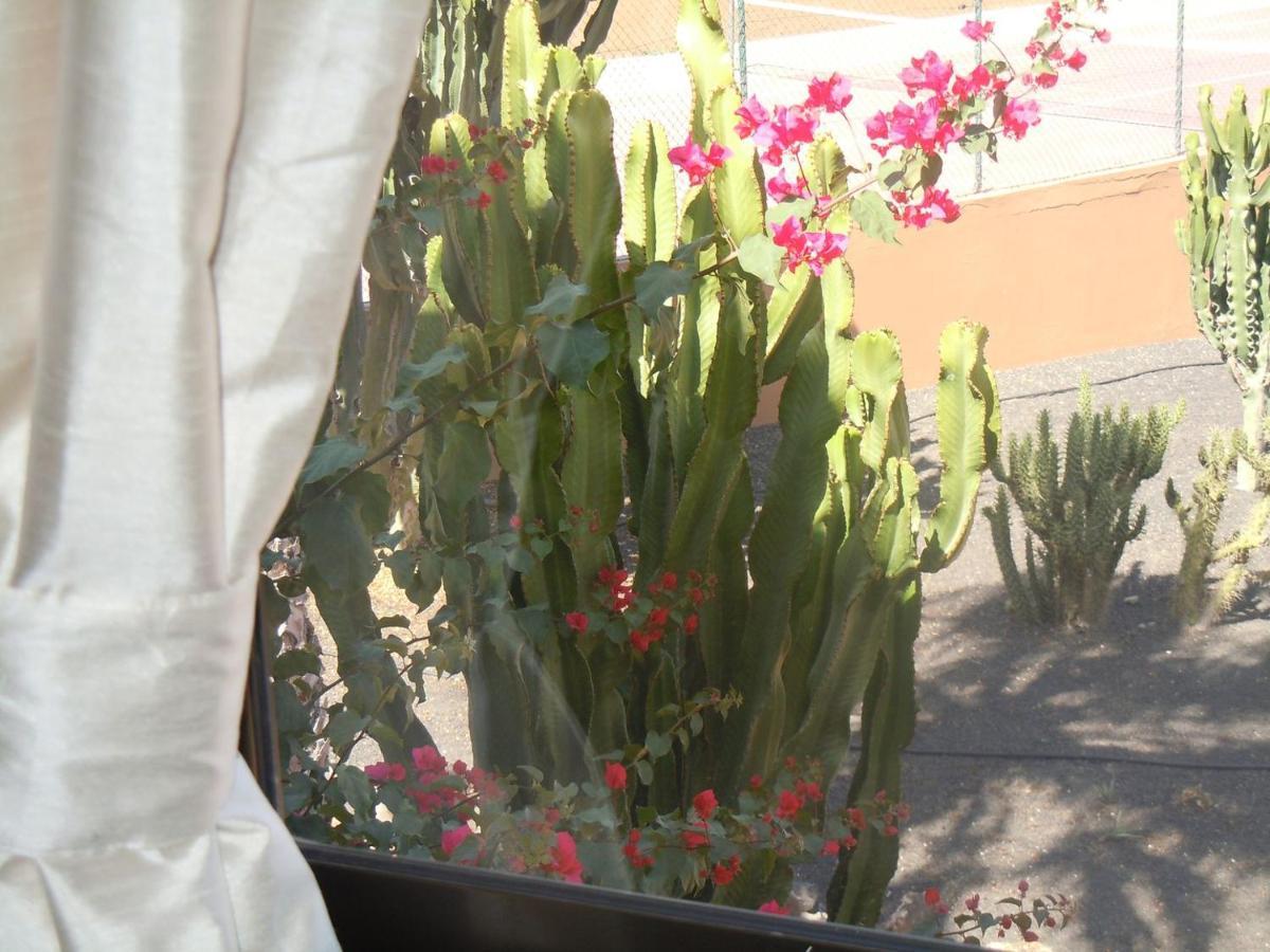 Family Apartment 1 Bedroom With Pool View - Oasis Duna Resort Corralejo Esterno foto